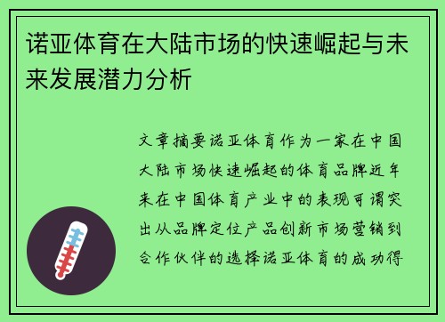 诺亚体育在大陆市场的快速崛起与未来发展潜力分析